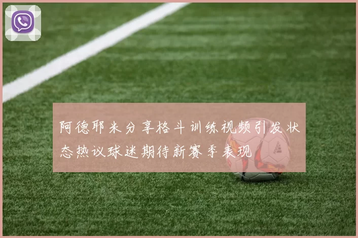 阿德耶米分享格斗训练视频引发状态热议球迷期待新赛季表现